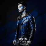 دانلود آهنگ آوین به نام برگرد