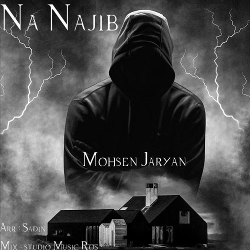دانلود آهنگ جدید محسن جریان نا نجیب