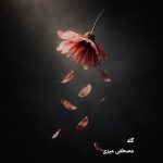 دانلود آهنگ مصطفی میری به نام گله