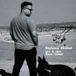 دانلود آهنگ شهرام شاهد به نام بگو کجایی