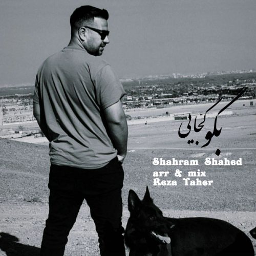 دانلود آهنگ جدید شهرام شاهد بگو کجایی
