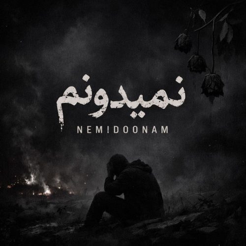 دانلود آهنگ جدید تاکسیک نمیدونم